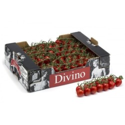 Tomates Cherry Divino Caja 1Kg