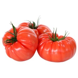 Tomate Extra Gordo 1 Kg