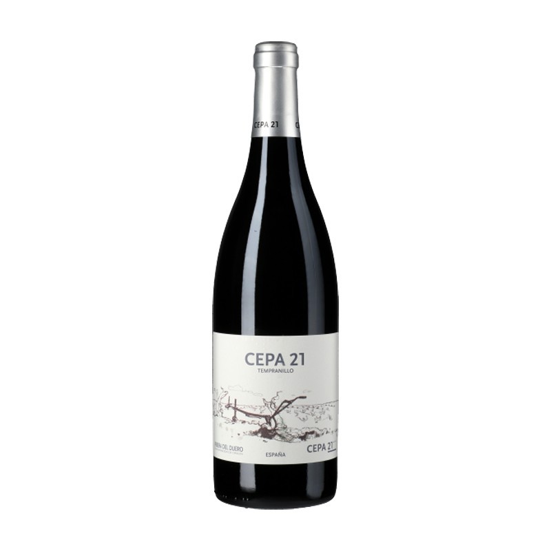 Vino Cepa 21  Ribera del Duero