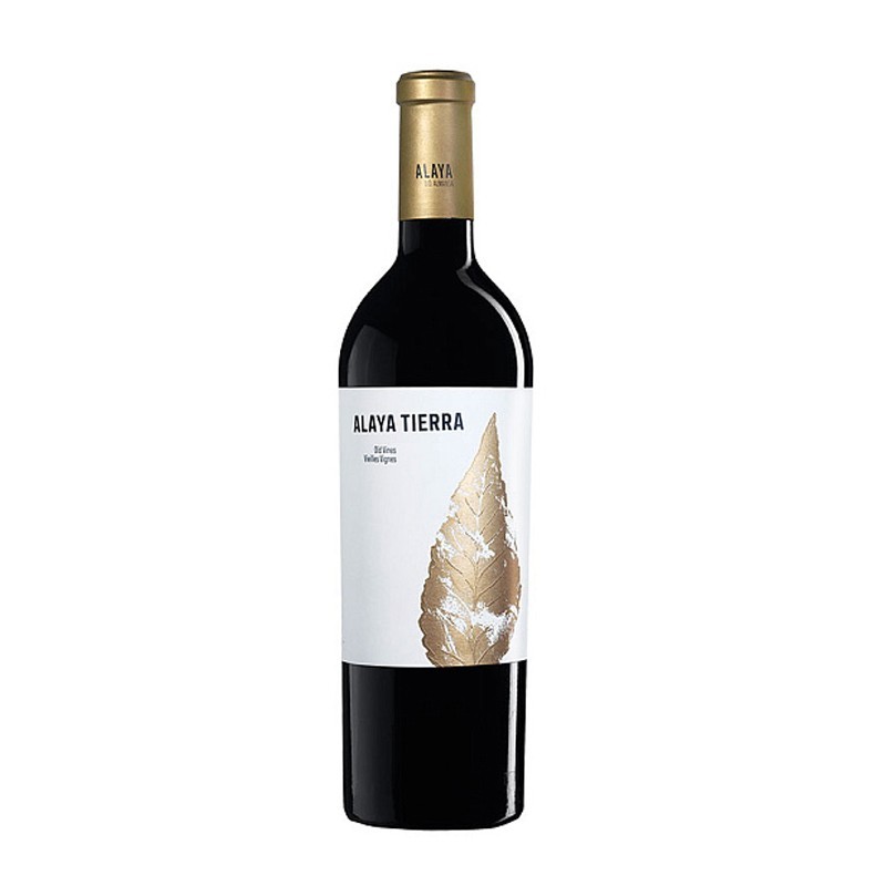 Vino Alaya Tierra
