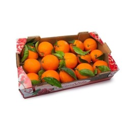 Caja Naranjas de Zumo (5 Kg)