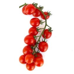 Tomate Cherry Rama 1 kg
