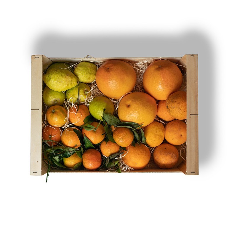 Caja de Cítricos Variada (5 Kg)