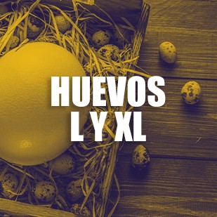 Huevos L y XL