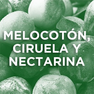 Melocotón, Ciruela y Nectarina
