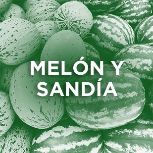 Melón y Sandía